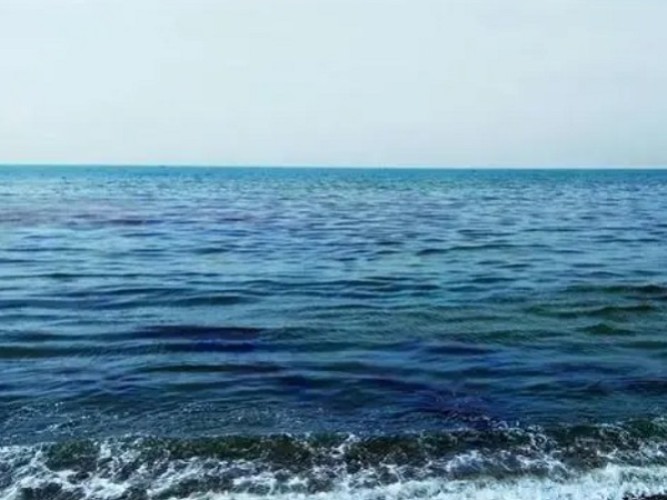 日本核廢水將排海-影響何以估量？